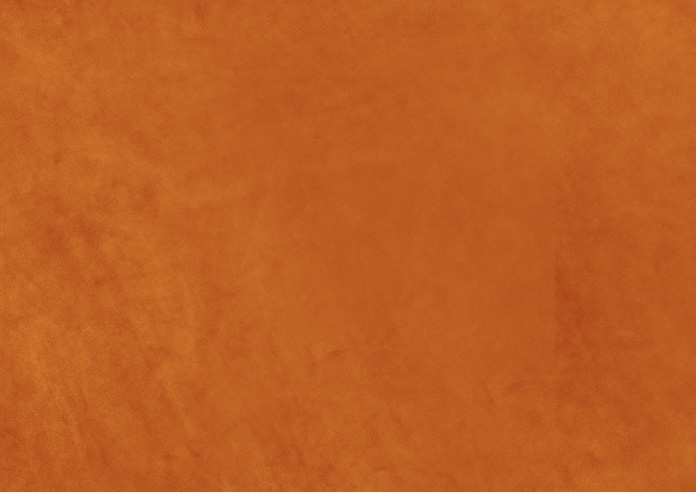 Odessa Velvet, Nectarine - Twist&Fit Roman Blind - Image 8